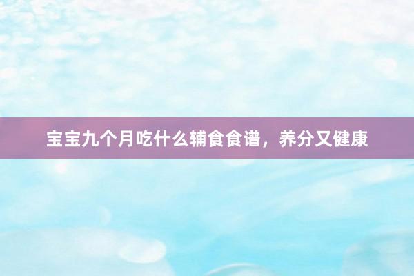 宝宝九个月吃什么辅食食谱，养分又健康